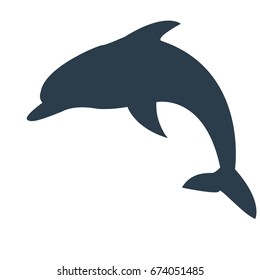 Vector illustration dolphin.