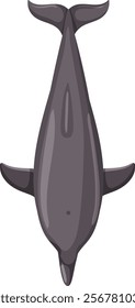 Vector illustration of a dolphin from above