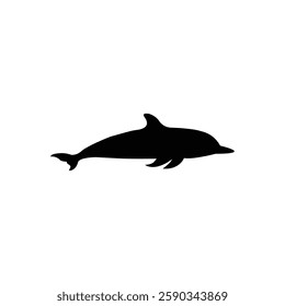 Vector illustration of dolphin animal silhouette