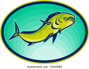 vector illustration of a dolphin fish or mahi mahi swimming viewed from a low angle.