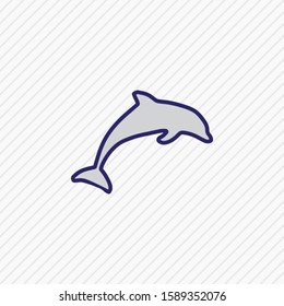 Vector illustration of dolphin icon colored line. Beautiful travel element also can be used as fin icon element.