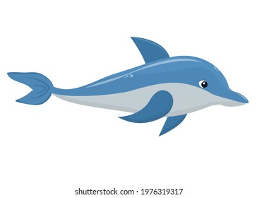 vector illustration of a dolphin isolated on a white background