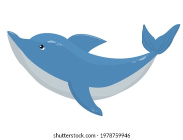 vector illustration of a dolphin isolated on a white background