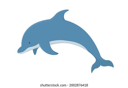 Vector illustration of dolphin isolated on white background.