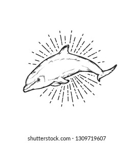 Vector illustration -  Dolphin. Logo template