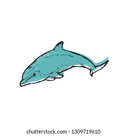 Vector illustration -  Dolphin. Logo template