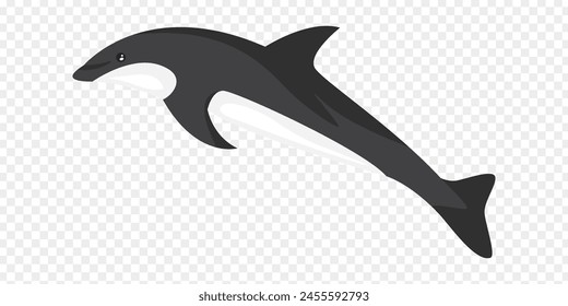 Vector illustration of dolphin on transparent background