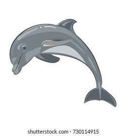 Vector illustration of a dolphin on a transparent background