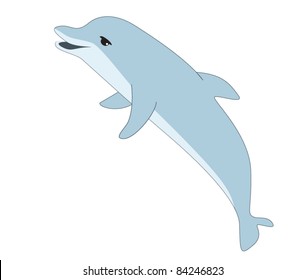 Vector illustration of dolphin on white background