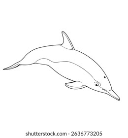 vector illustration of Dolphins in outline appearances