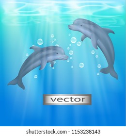 Vector illustration of dolphins swimming in water illuminated by sunlight.