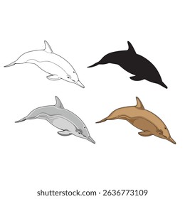 vector illustration of Dolphins in various appearances