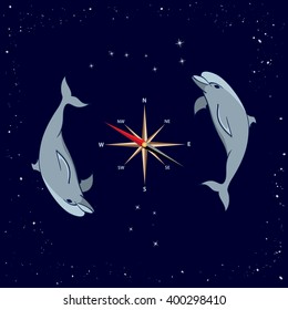 vector illustration of dolphins, wind rose,  Ursa Major and  Southern Cross