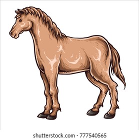 Vector illustration of domestic animal farm horse