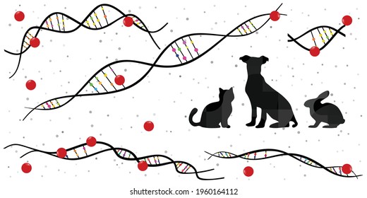 vector illustration of domestic animals and genetic researches and DNA tests