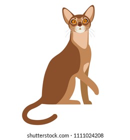 Vector illustration Domestic Cat of Abyssinian Breed with Yellow Eyes and Red Short Hair Sitting on Isolated White Background