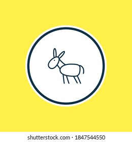 Ilustración vectorial de la línea de iconos de burro. Un bello elemento zoológico también puede utilizarse como elemento de icono de la mula.