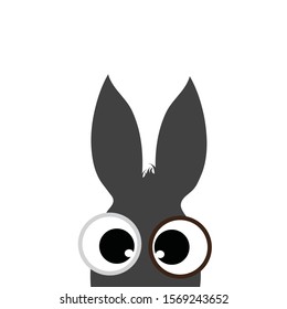 Vector illustration of donkey on white background. Symbol of animal, pet, farm, ears, eyes, curious.