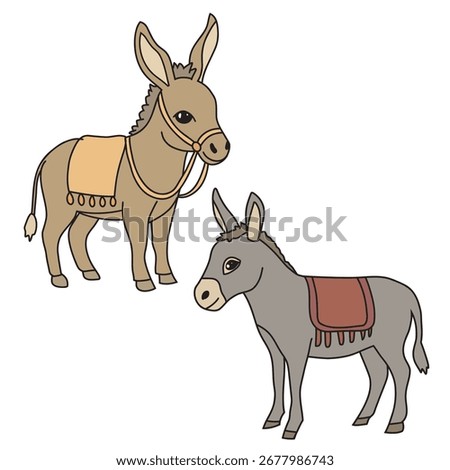 vector illustration of a donkey on the white background
