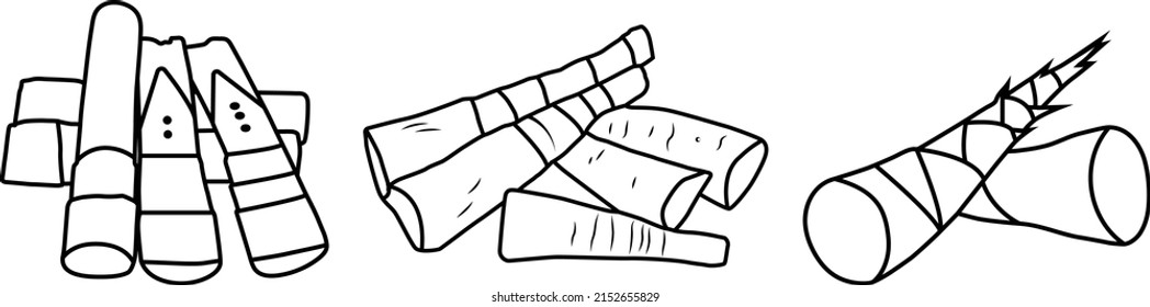 vector illustration doodle of Bamboo shoots on isolated white background.