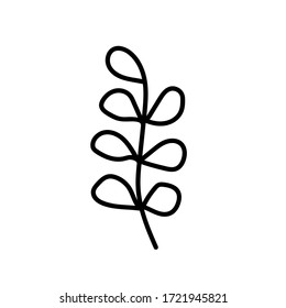 Vector illustration of a doodle  branch with leaves. Isolated on white background. Hand drawn flora. Line and outline leaf. Botany elements. 