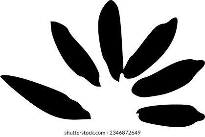 Vector illustration doodle decoration element 