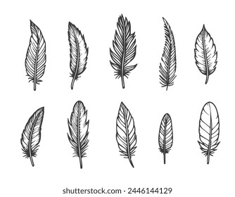 Vector illustration of doodle drawn feathers. Set on white background, isolate. Black line bird feathers, elements for design