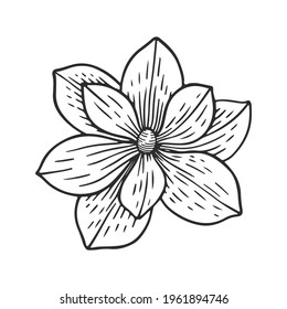 Vector illustration of a doodle Flower