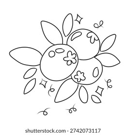 Vector illustration, Doodle hand-drawn icon set, outline drawing of blueberries branch, outline drawing of a blueberry, vector design set, A Vector blueberry line art, hand-painting design set, EPS format, outline drawing for blueberry drawing