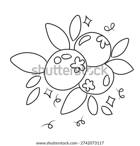 Vector illustration, Doodle hand-drawn icon set, outline drawing of blueberries branch, outline drawing of a blueberry, vector design set, A Vector blueberry line art, hand-painting design set, EPS format, outline drawing for blueberry drawing