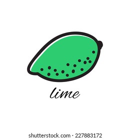 Vector illustration. Doodle lime. Hand-drawn object isolated on white background. Easy paste to any background