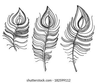 vector illustration. Doodle set of three  feathers, isolated on white background