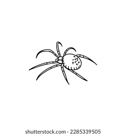 vector illustration doodle spider concept