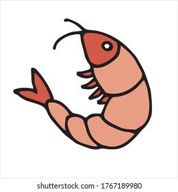
vector illustration in doodle style, cartoon. sweet shrimp, boiled shrimp. color icon isolated on a white background. food, sea animals. meat-free diet