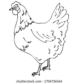 vector illustration, doodle style drawing, in black, chicken, cock, bird, isolate on a white background