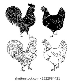 Vektorgrafik, Doodle-Zeichnung, einzeln auf weißem Hintergrund, in schwarz, Huhn, Hahn, Vogel