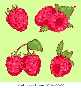vector illustration in doodle style, set of berries raspberry with leaves in different forms