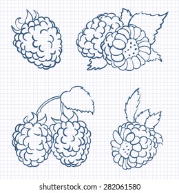 vector illustration in doodle style, set of berries raspberry with leaves in different forms drawn on a sheet of paper