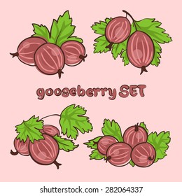 vector illustration in doodle style, set of berries gooseberry with leaves in different forms