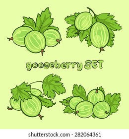 vector illustration in doodle style, set of berries gooseberry with leaves in different forms