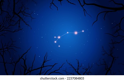 Vector illustration Dorado constellation. Tree branches, dark blue starry sky, cosmos. Illustration of constellation scheme Dorado, gold fish