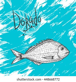 Vector illustration of dorado with lemon slice. River fish. Hand drawn sketch.