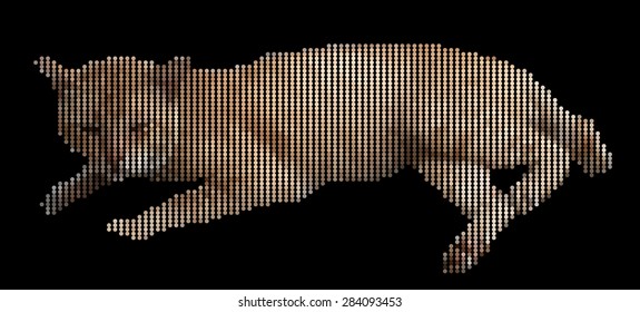 Vector illustration dotted cat on black background