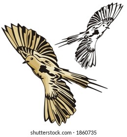 Vector illustration of a dove.