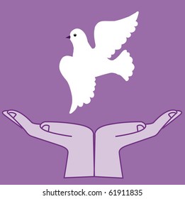vector  illustration of the dove in hand