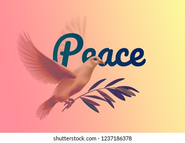 Vector illustration of a dove and olive branch for international day of peace isolated on orange background. Concept in bright colors