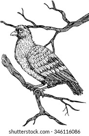 Vector illustration of dove on the branch. Black and white graphic, hand drawing.