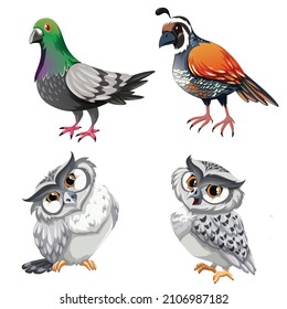 vector illustration of a dove, owl