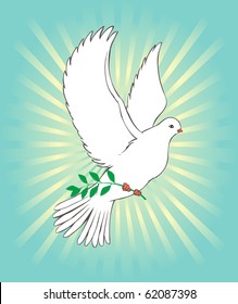 vector illustration, dove of peace caring a olive branch, card concept.
