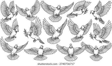 Vector illustration of doves with olive branches symbolizing peace, freedom, harmony, religion, politics, education, and decorative design